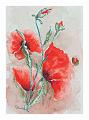 Mary Brand - Watercolours 15